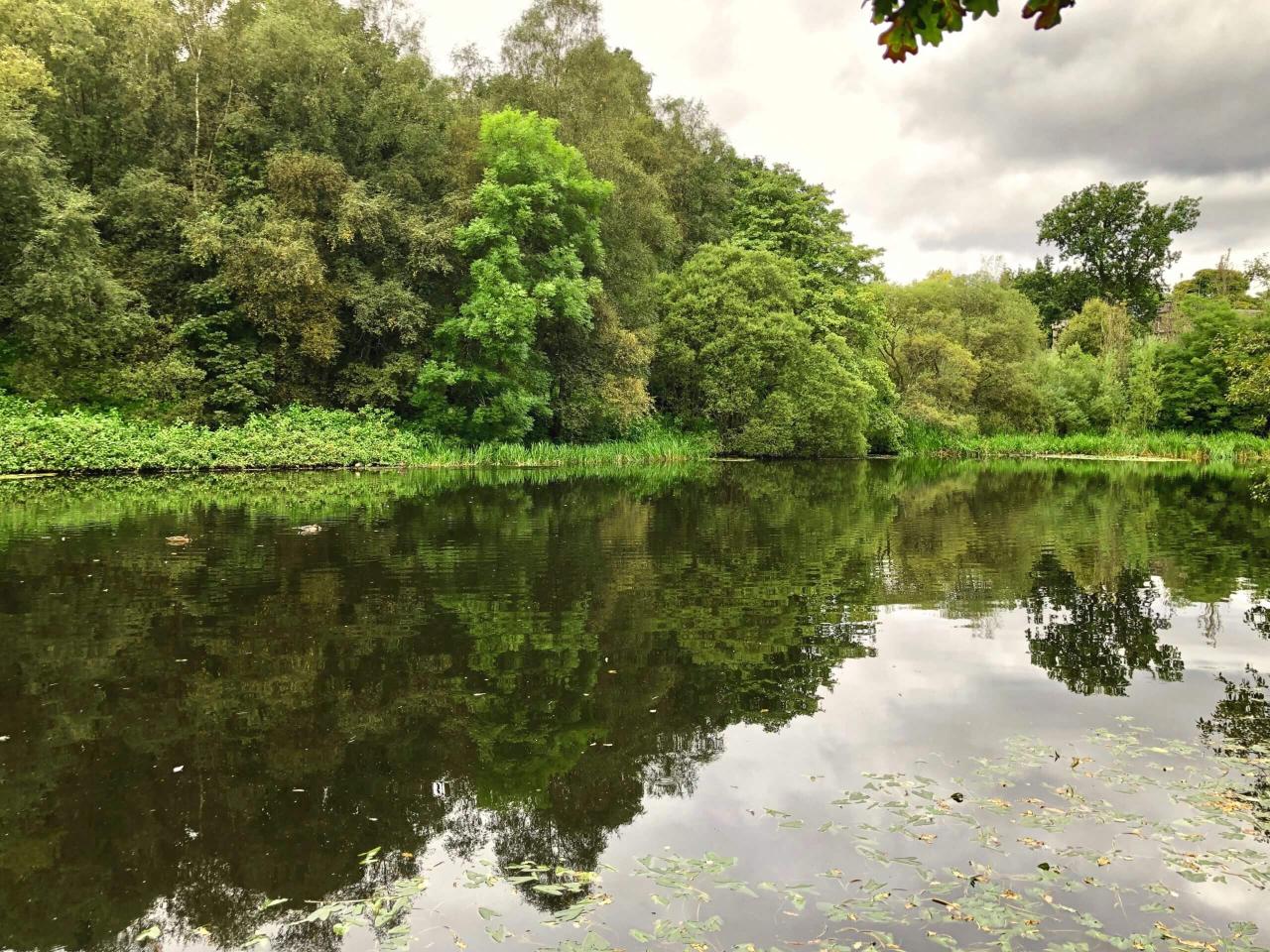 Westerton Care Home in Bearsden Luxury Care Home