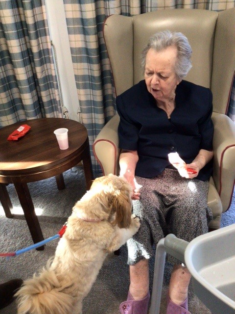 elderly woman sat in chair petting a small dog
