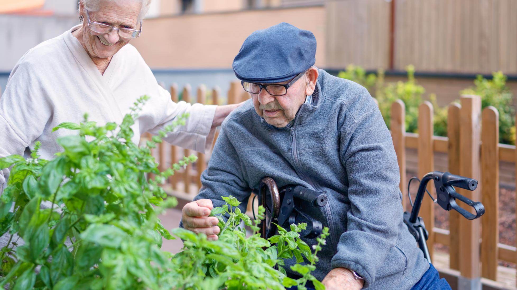 care home residents gardening