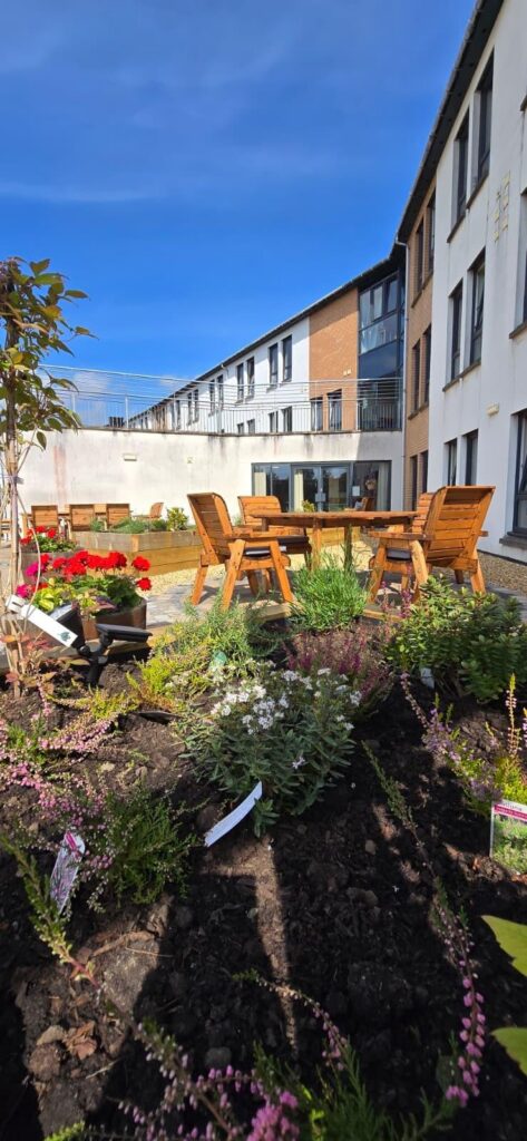 raised planters in a care home garden